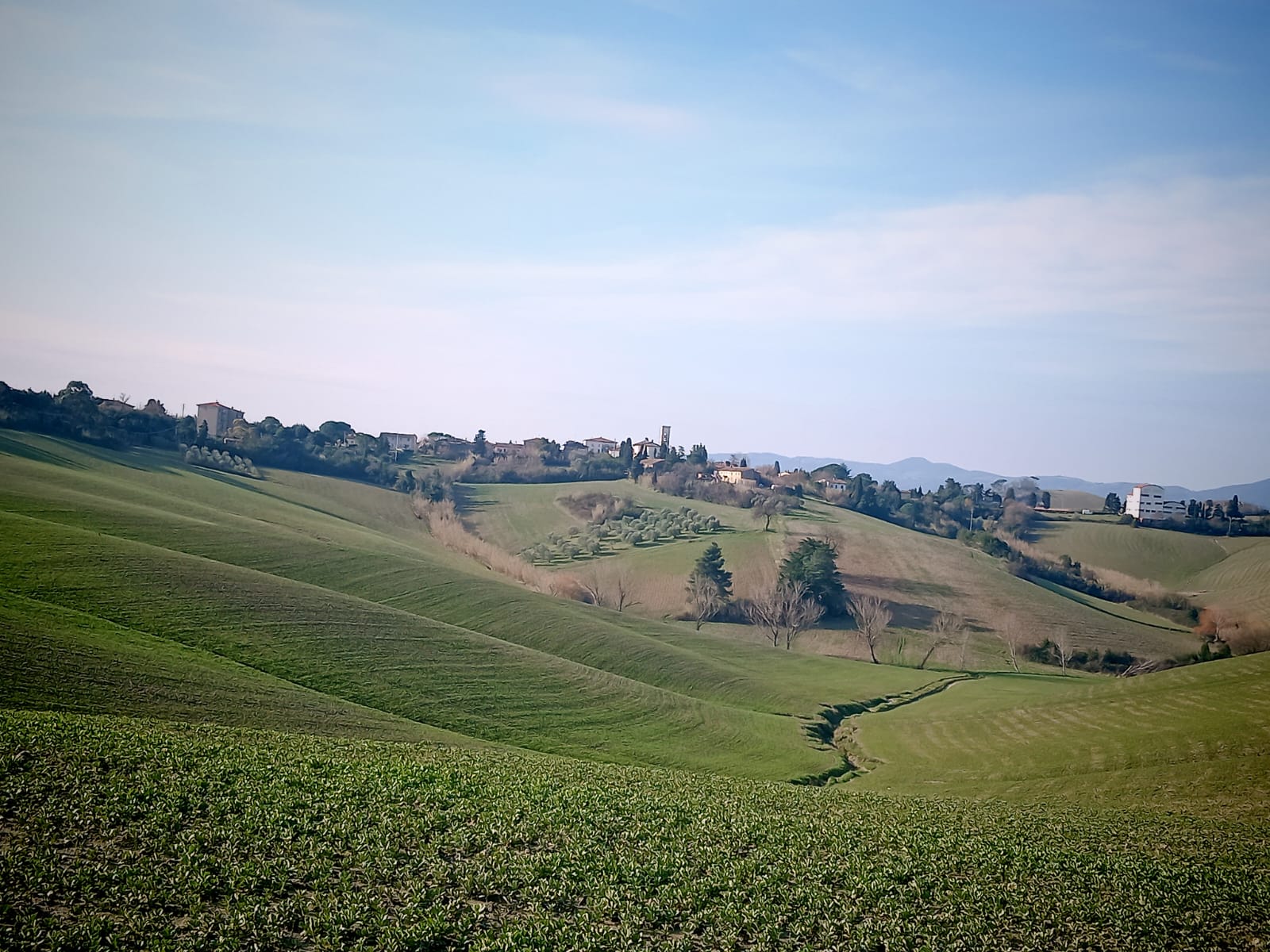 Orciano Pisano ospita Colli Toscani Bistrot